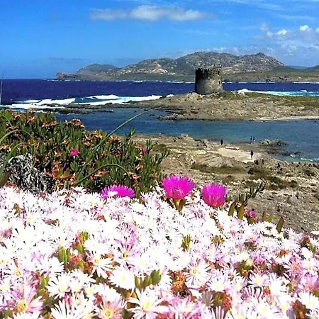 Near Pelosa