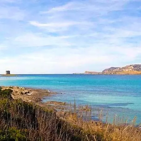 Near Pelosa *